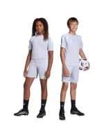 Dětské šortky Tiro 26 League Training šedé model 21870415 - ADIDAS