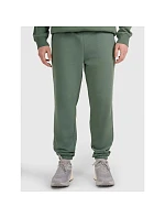 Pánské tepláky model 22071419 - 4F