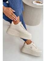 Sneakersy Dámské Sportovní Boty Zateplené Na Masivní Podešvi Béžové model 21668399 - Boto Sneakersy Dámské Sportovní Boty Zateplené Na Masivní Podešvi Béžové model 21668399 - Boto