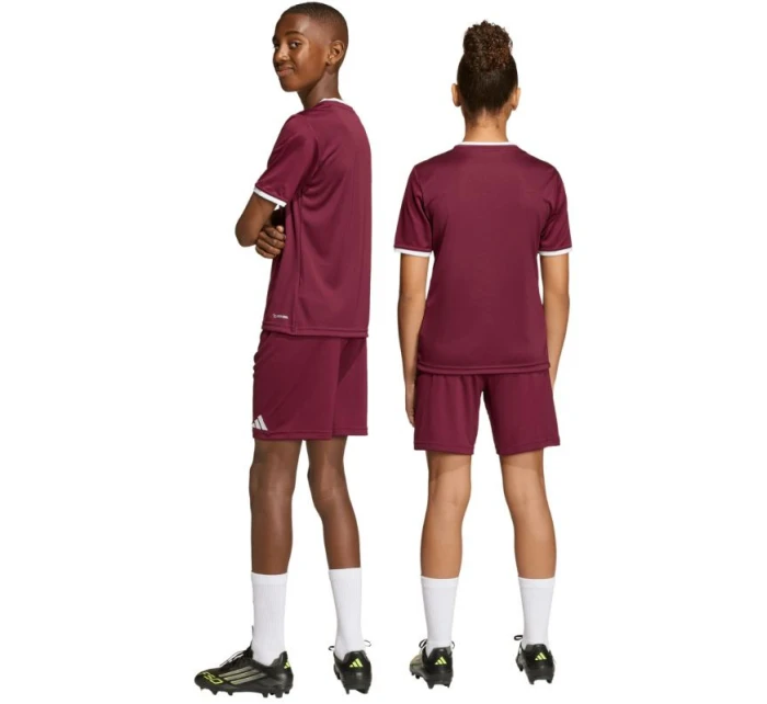 Detské šortky adidas Entrada 26 burgundy JZ6527