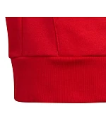 Mikina Colorblock Fleece Hoodie Jr model 19571686 - ADIDAS