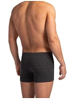 boxerky model 22106535 SZ A'2 3XL4XL - Lama