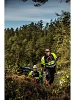 Sweatshirt HV Bezpečnostní mikina 64. hi vis yellow/black model 22463246 - ProJob