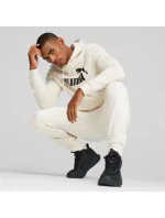 Puma ESS Big Logo Hoodie FL (s) Evening M 586687 87 mikina