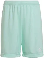 Detské šortky Entrada 22 Jr HC5058 - Adidas