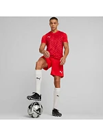 Pánské tričko  červené 01 pánské model 22140016 - Puma