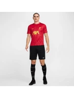 Tričko Liverpool FC Academy Pro M model 20218284 - NIKE Tričko Liverpool FC Academy Pro M model 20218284 - NIKE