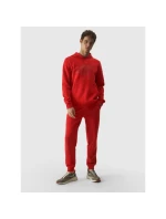Mikina 4F M 4FWMM00TSWSM1464-70S men
