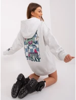 Mikina D10606BA02406D2 svetlo šedá Mikina D10606BA02406D2 svetlo šedá