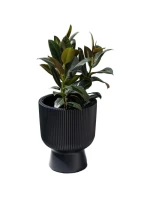 MILLY KVETINOVÝ POND, priemer 24 cm BIELA