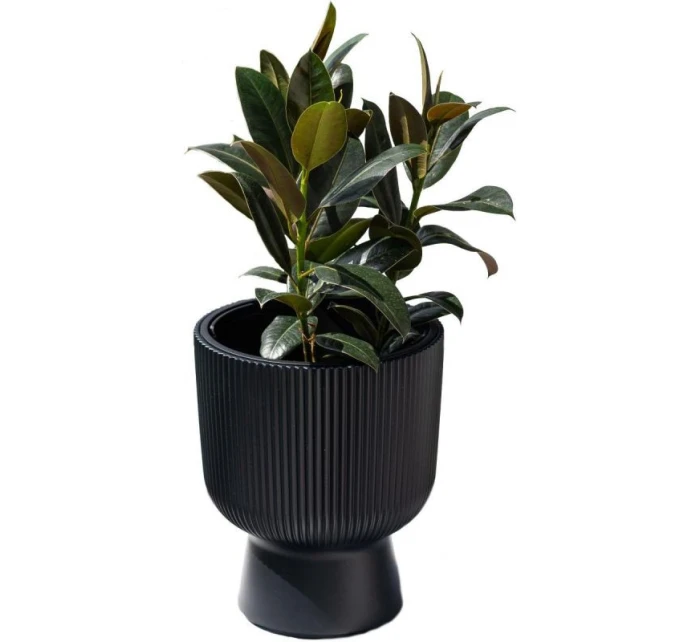 MILLY KVETINOVÝ POND, priemer 24 cm BIELA