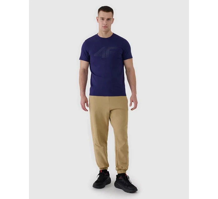 Pánské tričko model 22063520 - 4F Pánské tričko model 22063520 - 4F