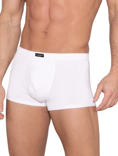 Pánské boxerky  EX model 21266202 - Lama