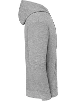 Iconic 250 Hooded Sweat Mikina s kapucí heather model 22459127 - Fruit of the Loom Iconic 250 Hooded Sweat Mikina s kapucí heather model 22459127 - Fruit of the Loom