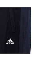 Tepláková súprava adidas Essentials Big Logo Junior HR6408