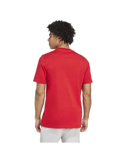 Polo Tričko Arsenal London FC Graphic Tee model 21420607 - ADIDAS Polo Tričko Arsenal London FC Graphic Tee model 21420607 - ADIDAS