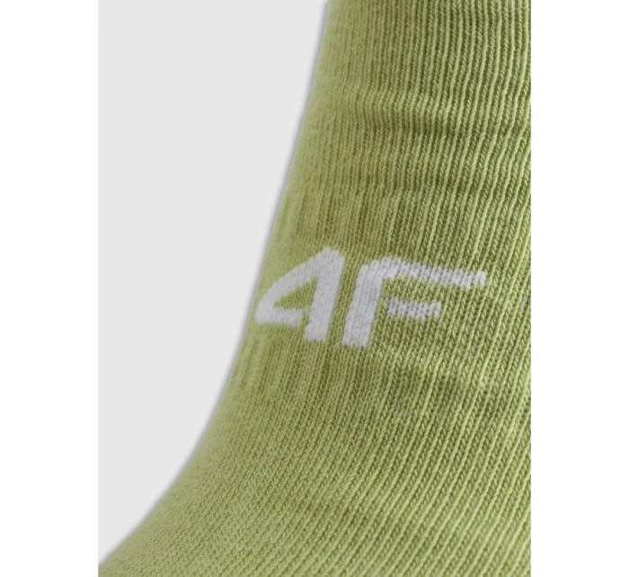 Dámské ponožky model 21474364 - 4F Dámské ponožky model 21474364 - 4F