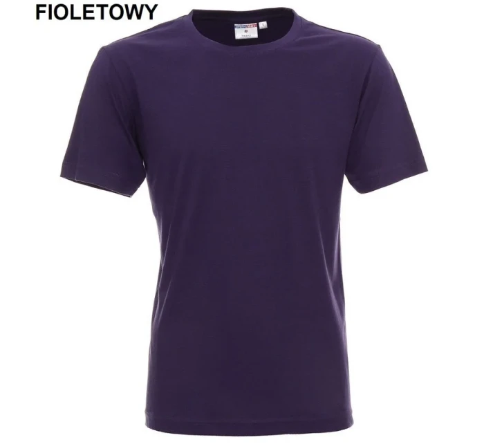 Pánské tričko Tshirt Heavy model 16110509 - PROMOSTARS