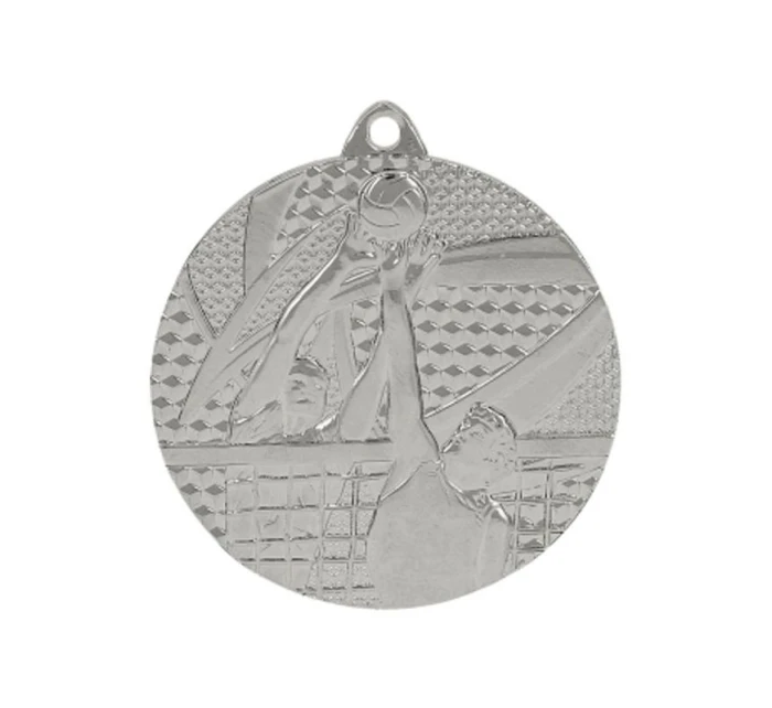 strieborná medaila - volejbal
