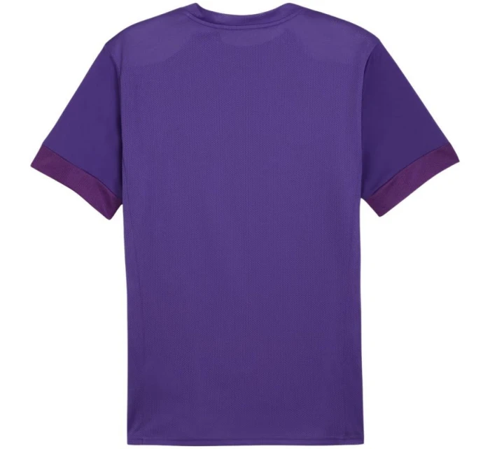 teamGoal Jersey M 10 pánské model 21283923 - Puma teamGoal Jersey M 10 pánské model 21283923 - Puma