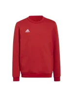 Detská mikina Entrada 22 Sweat Jr H57473 - Adidas