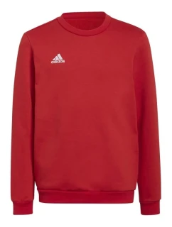Detská mikina Entrada 22 Sweat Jr H57473 - Adidas