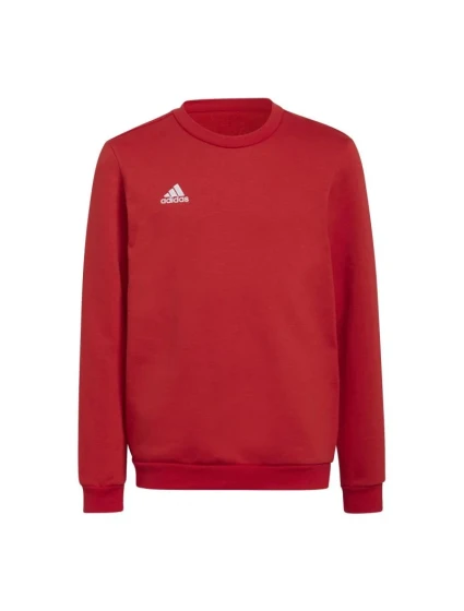 Detská mikina Entrada 22 Sweat Jr H57473 - Adidas
