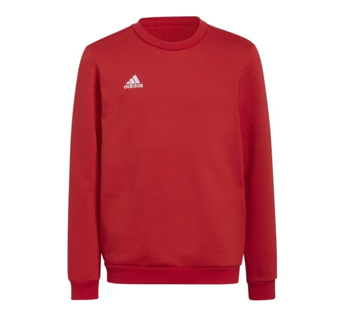 Detská mikina Entrada 22 Sweat Jr H57473 - Adidas